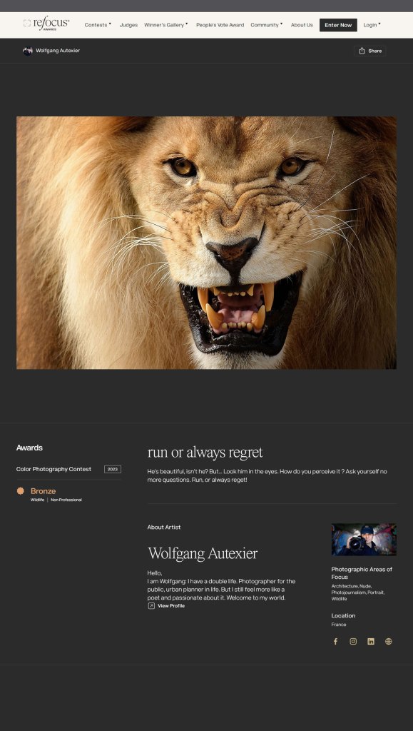 photo de Lion - par Wolfgang Autexier - photographie récompensée d'une troisième place en catégorie photo animalière aux ReFocus Awards 