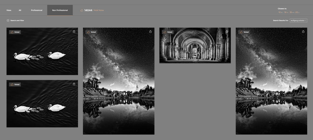 5 photographies finalistes : 2x les cygnes, 2x les arènes de Saintes, et un nu - Wolfgang Autexier photographe à Saintes