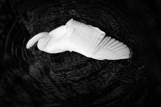 Naval Line · étirement d’aile de cygne · par Wolfgang Autexier photographe aérien