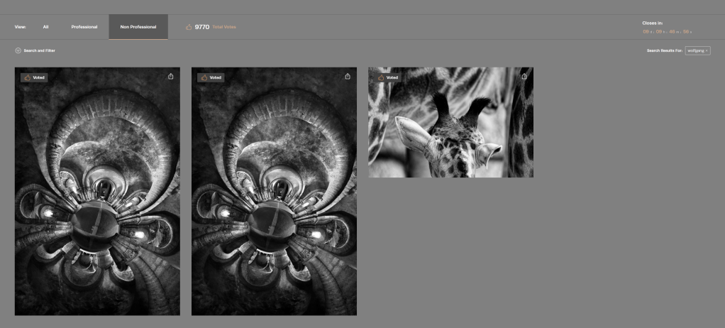 3 nominations : 2 pour une photo de la crypte Saint-Eutrope, et une pour une tête e girafon · par Wolfgang Autexier photographe à Saintes